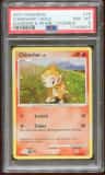 Chimchar