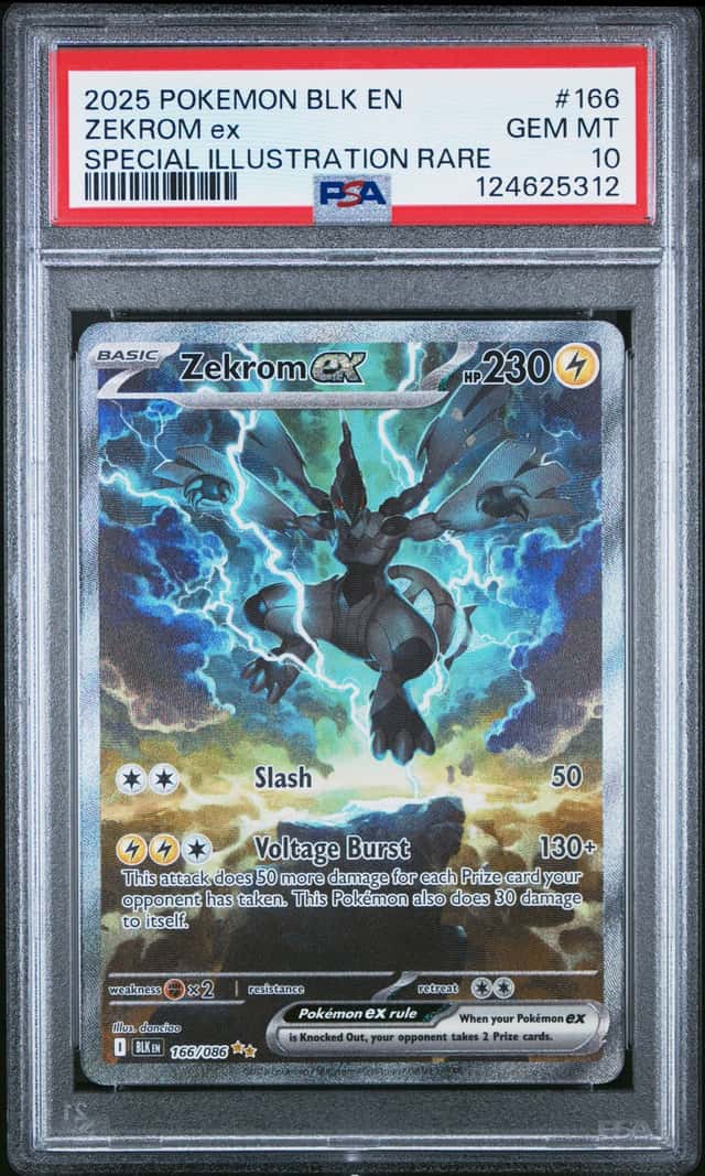 ZEKROM ex