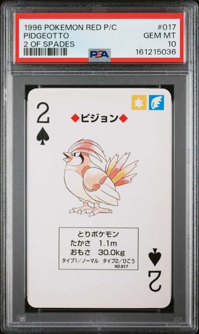 Pidgeotto