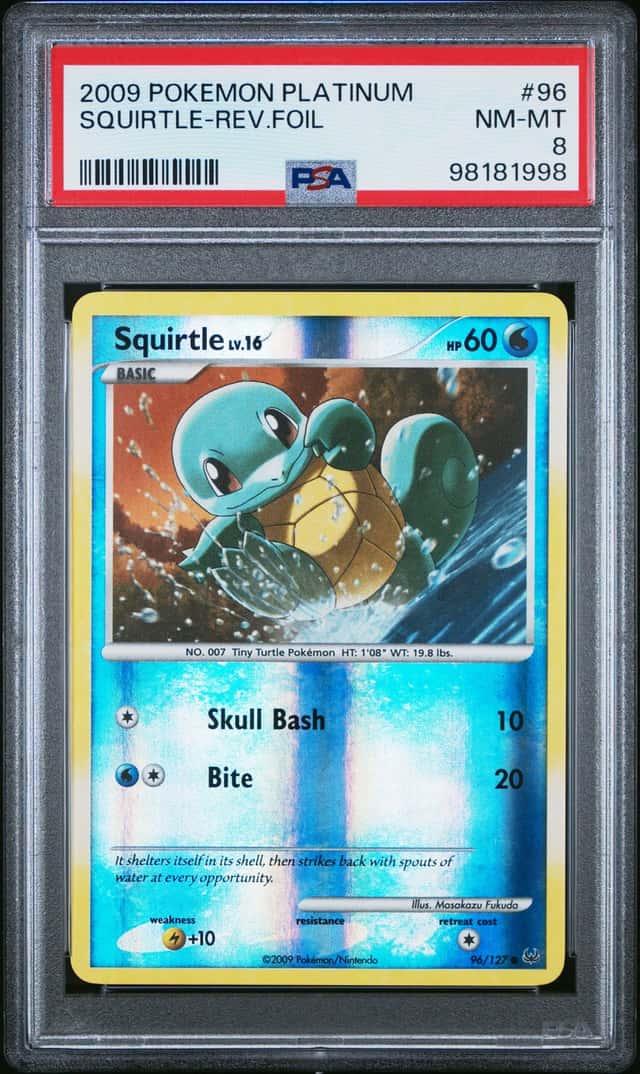 Squirtle