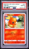 Torchic