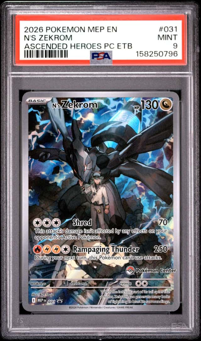 N's Zekrom