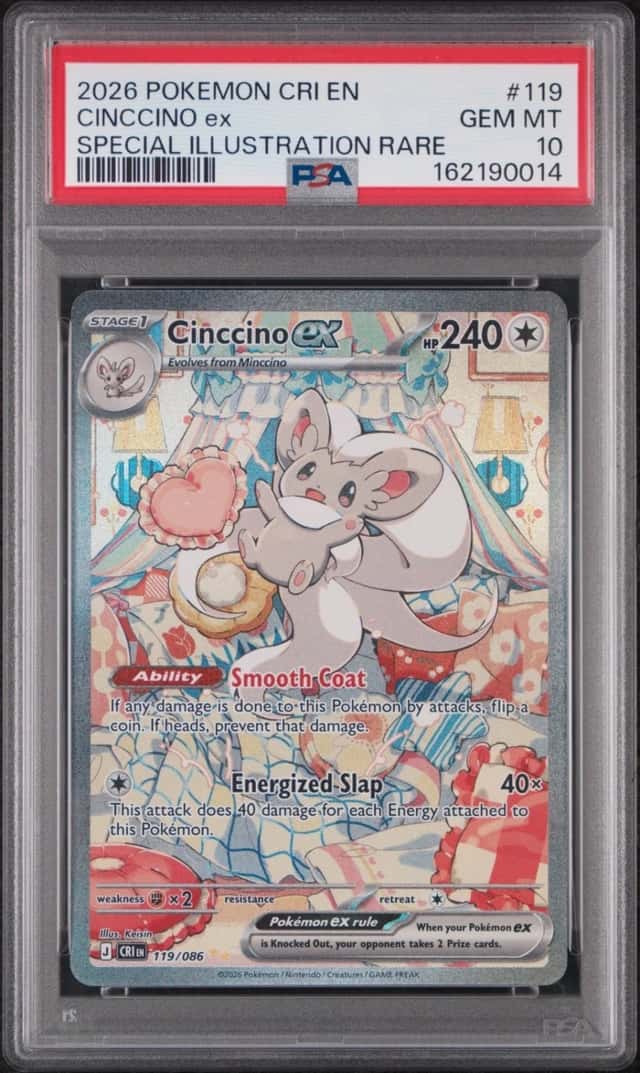 CINCCINO ex