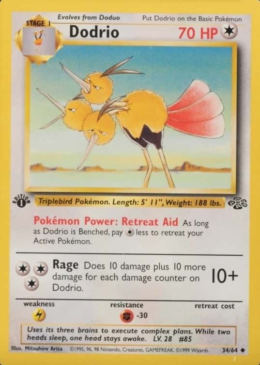 1st Edition