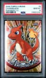 Charmeleon