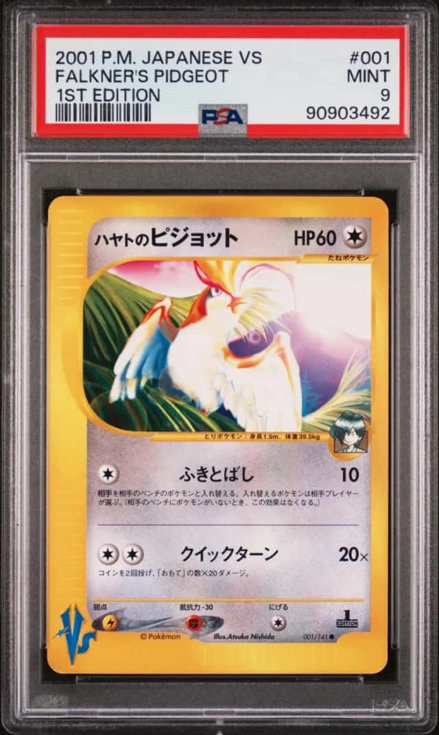 Falkner's Pidgeot