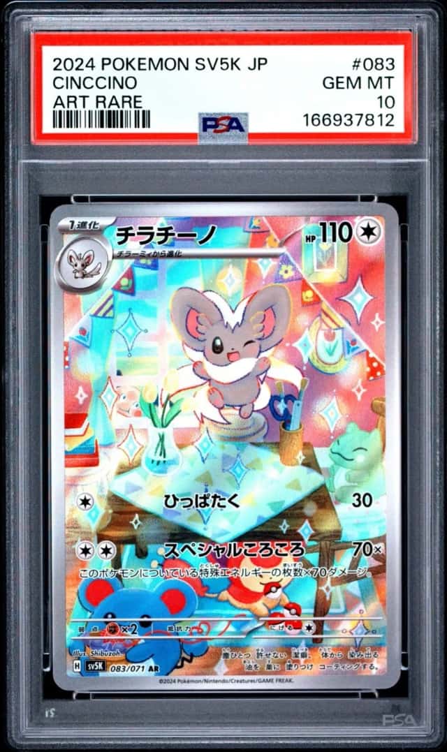 Cinccino