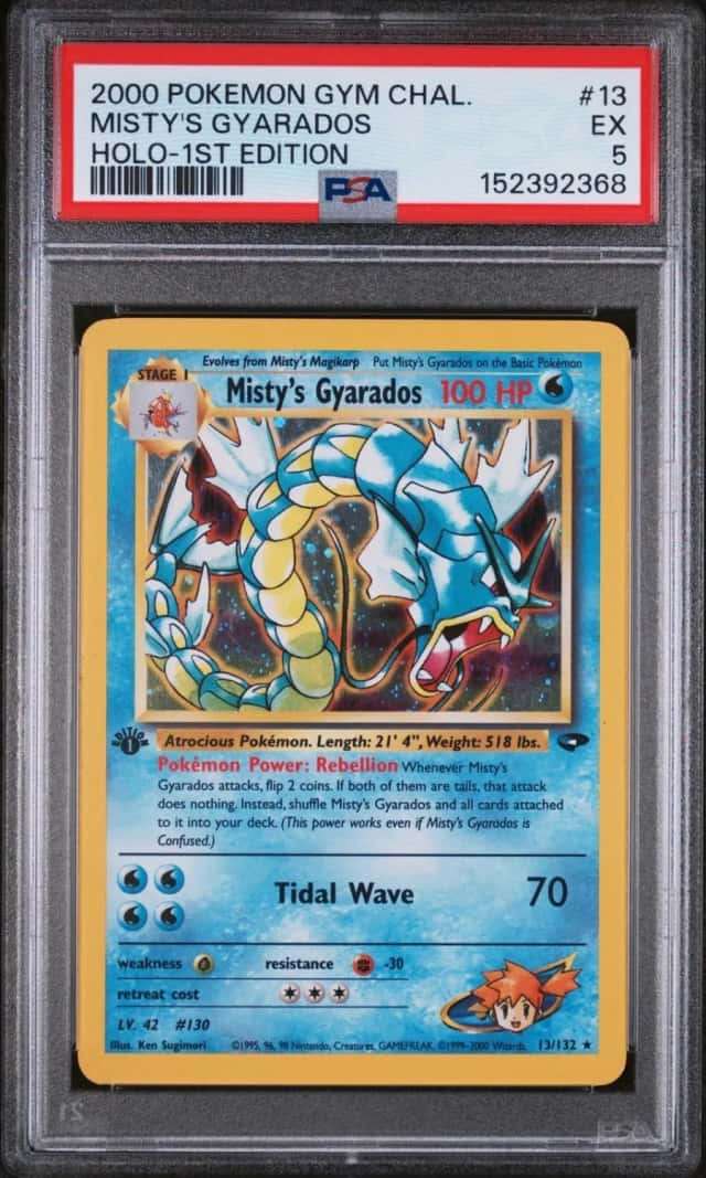 Misty's Gyarados