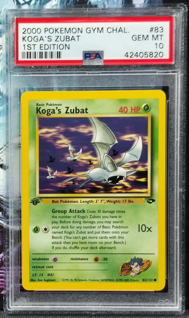 Koga's Zubat
