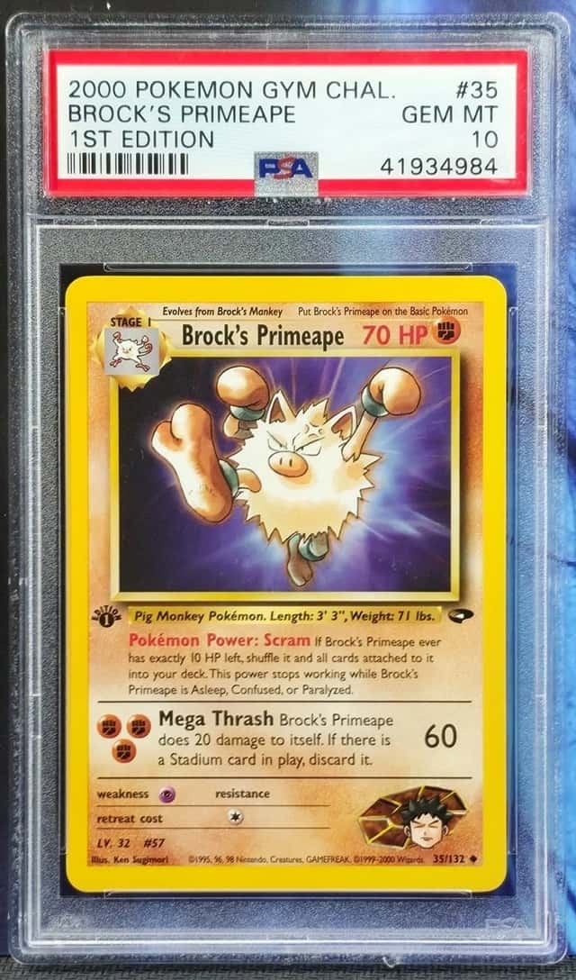Brock's Primeape