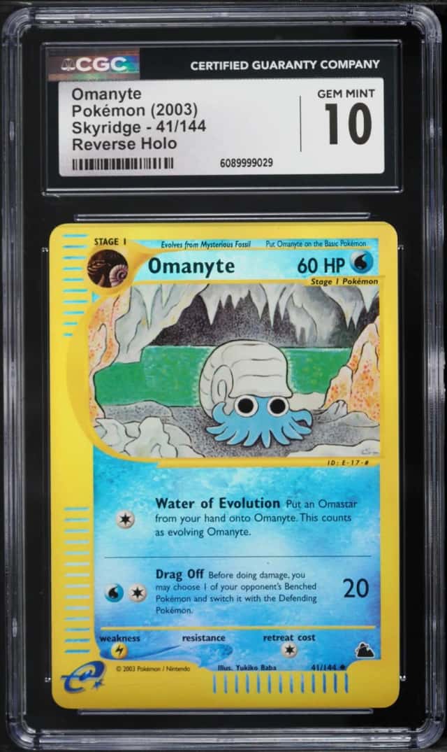 Omanyte