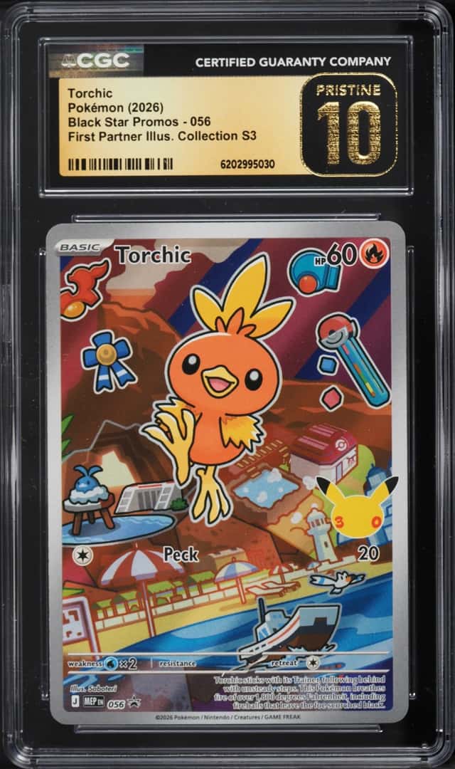 Torchic