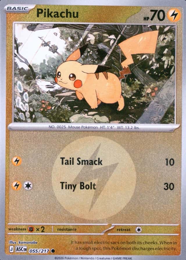 Reverse Holo