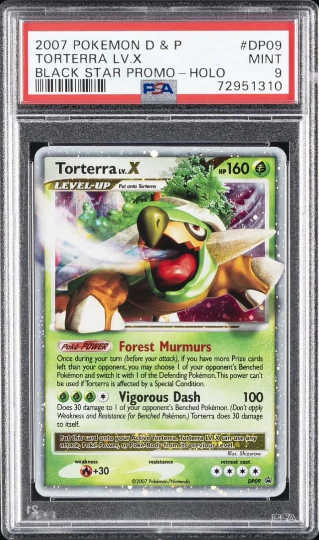 TORTERRA LV.X