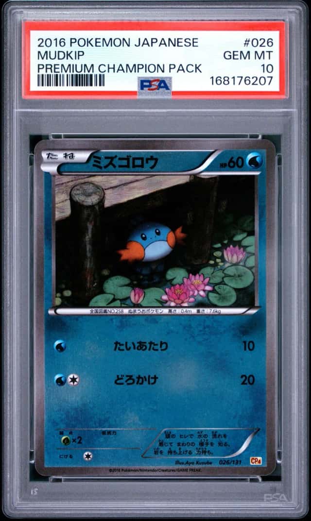 Mudkip