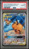 Raichu/aln.raichu Gx