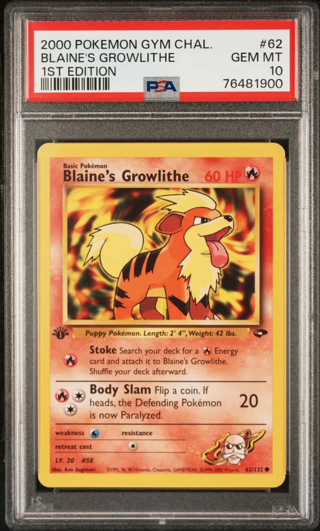 Blaine's Growlithe