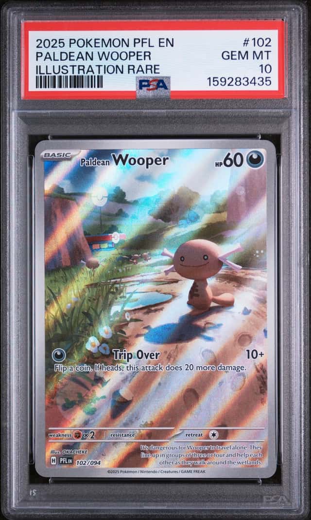 Paldean Wooper