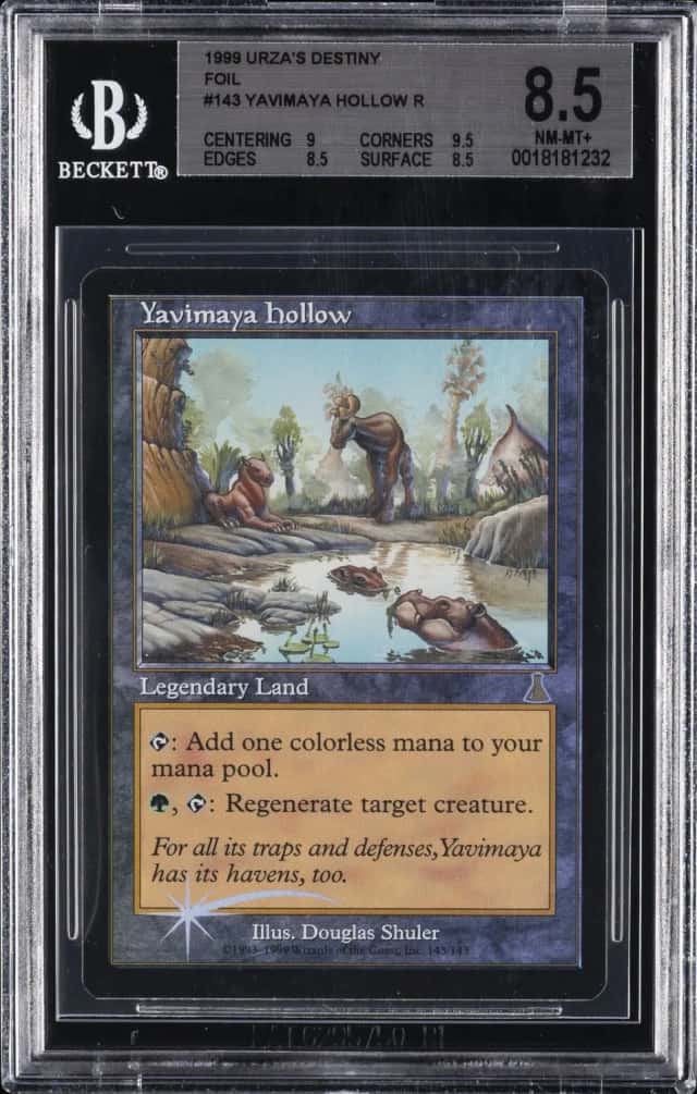 Yavimaya Hollow