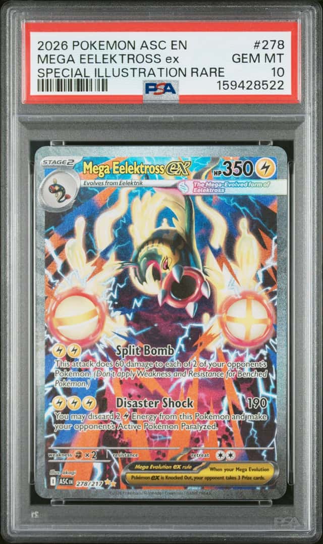 MEGA EELEKTROSS ex