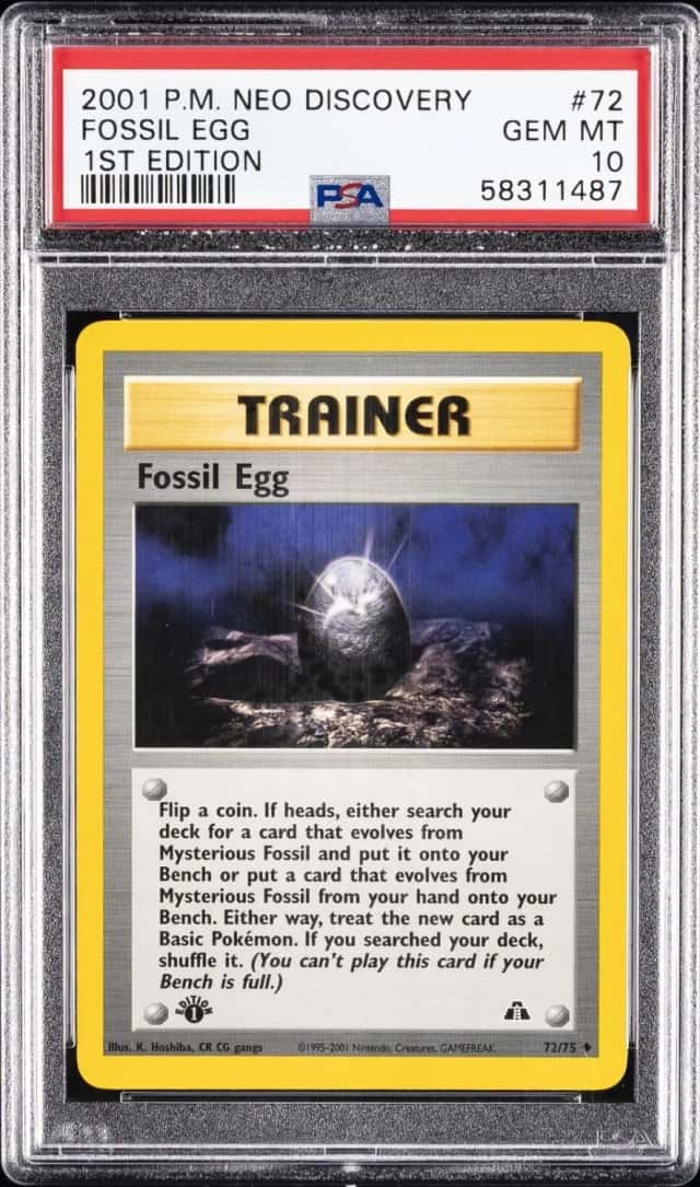 Fossil Egg