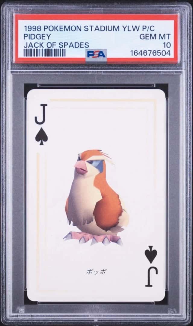 Pidgey