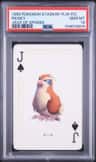 Pidgey