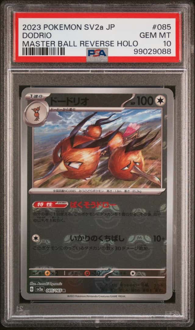 Dodrio