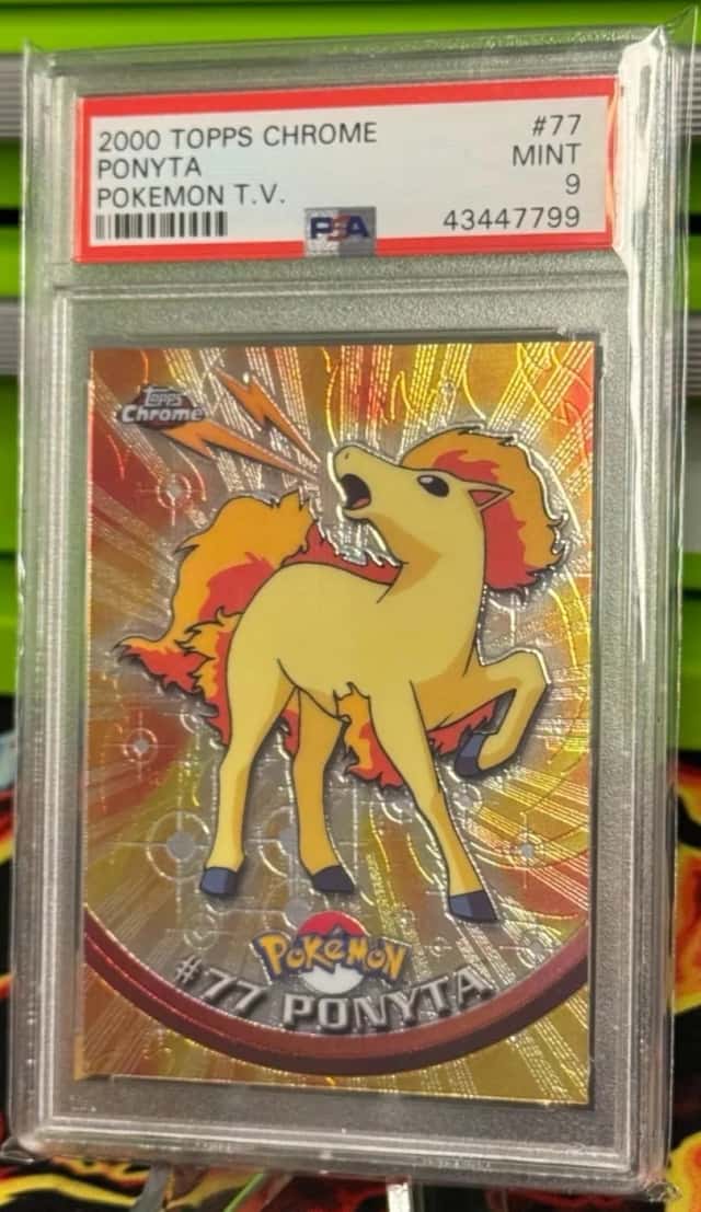Ponyta