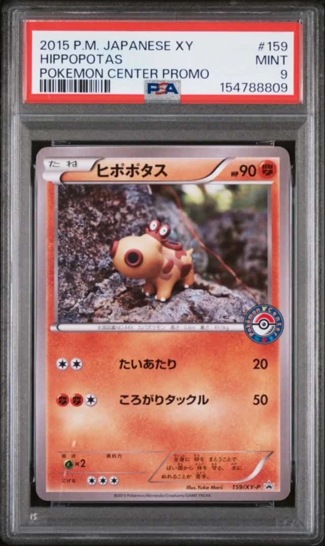 Hippopotas