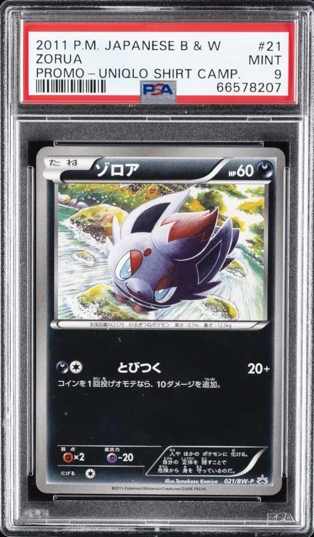 Zorua