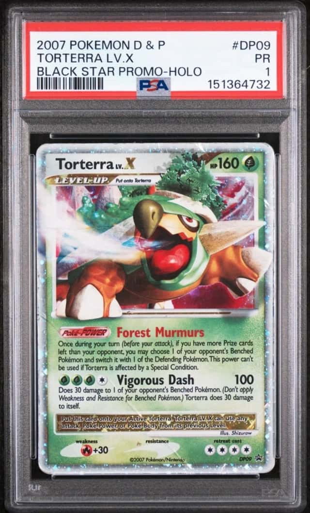 TORTERRA LV.X
