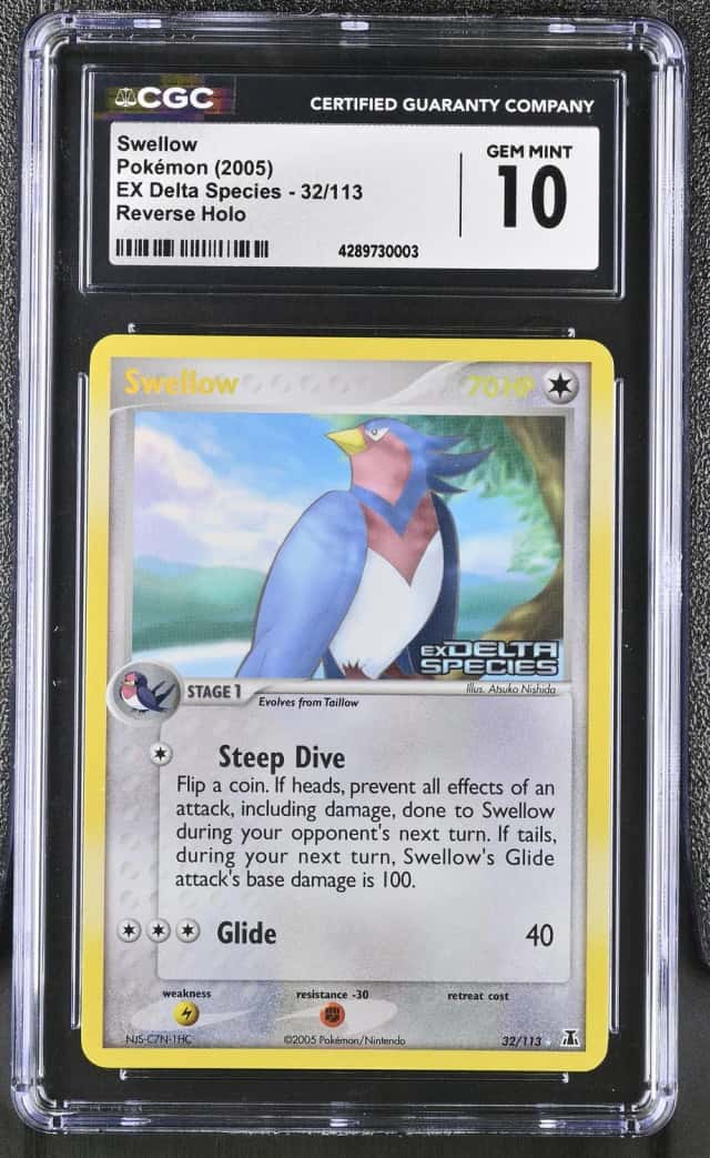 Swellow