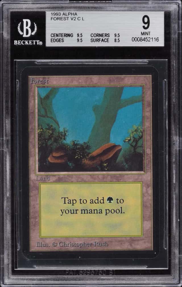 Forest V2 C :L: