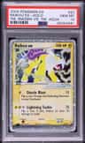 Raikou Ex