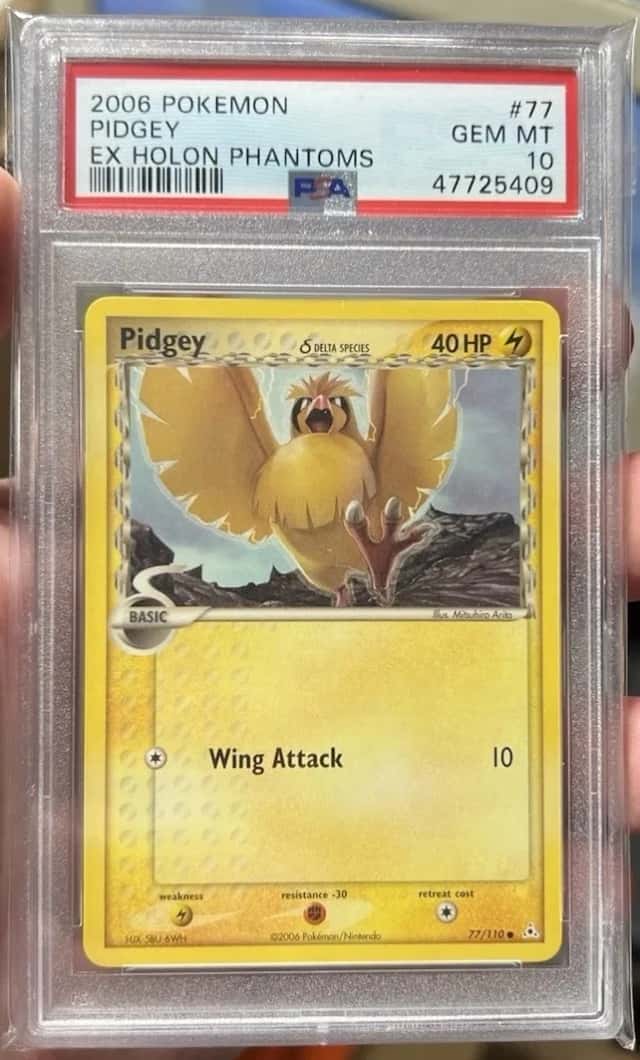 Pidgey Δ