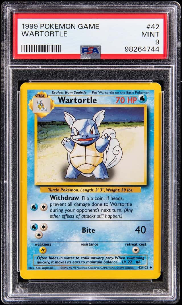 Wartortle