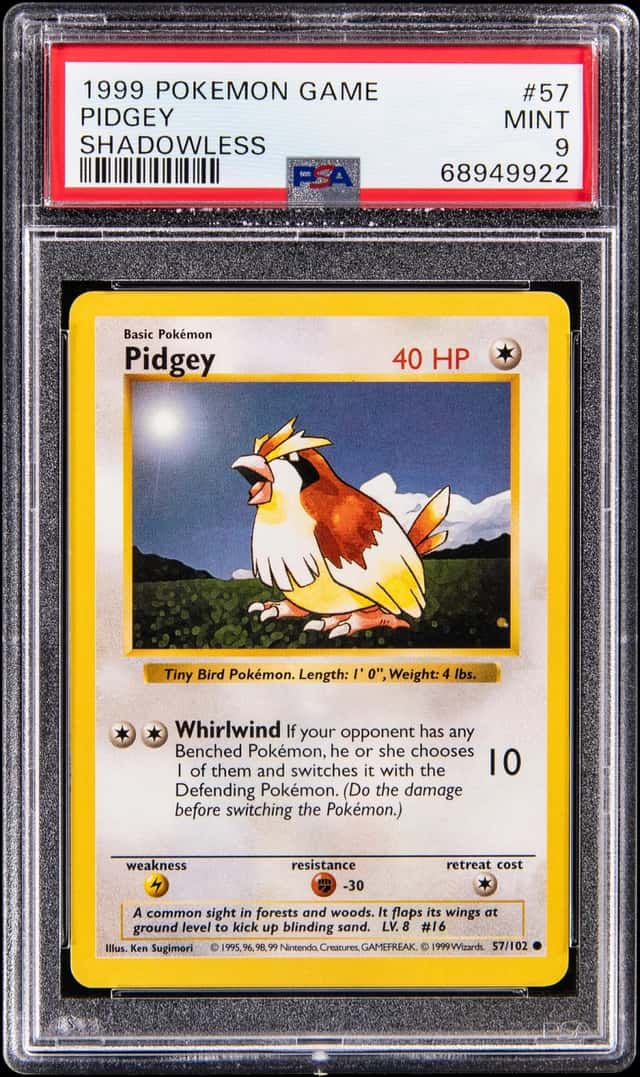 Pidgey