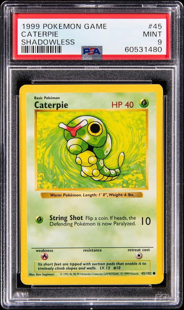 Caterpie