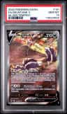 Skuntank V