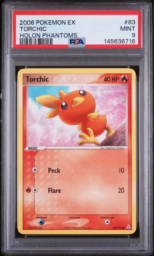 Torchic