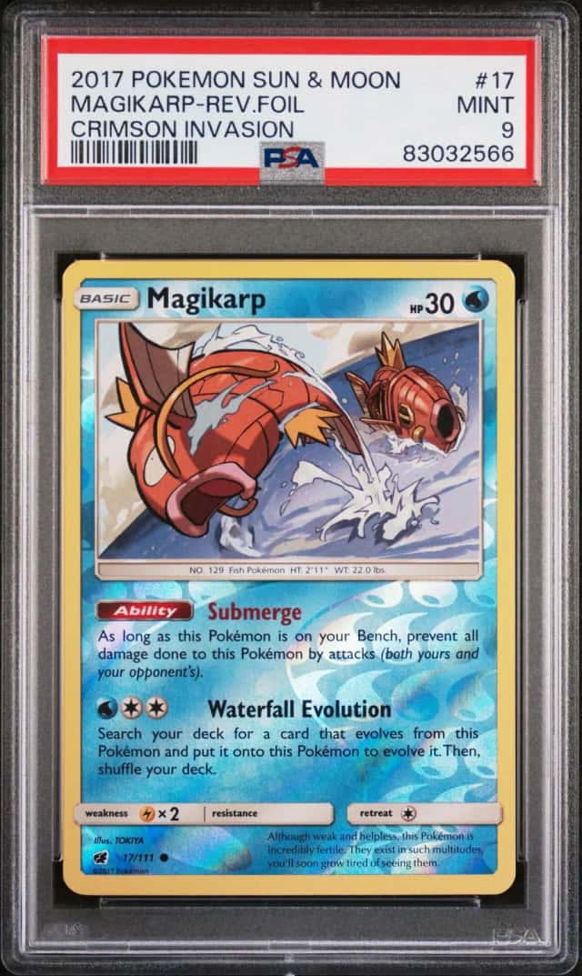 Magikarp