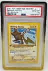 Shining Raichu