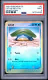 Lotad
