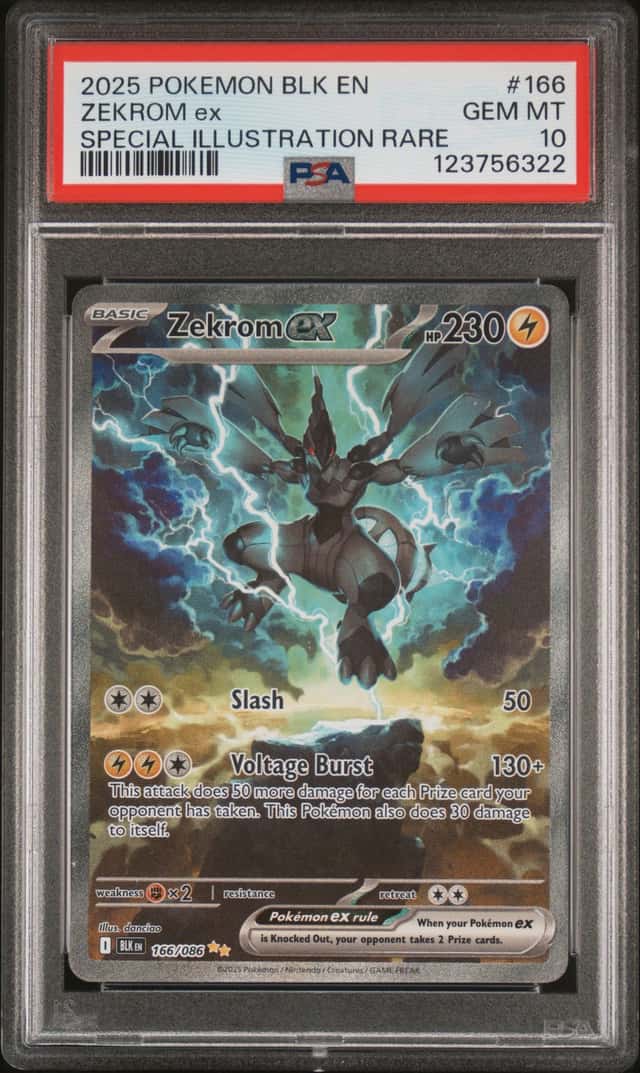 ZEKROM ex