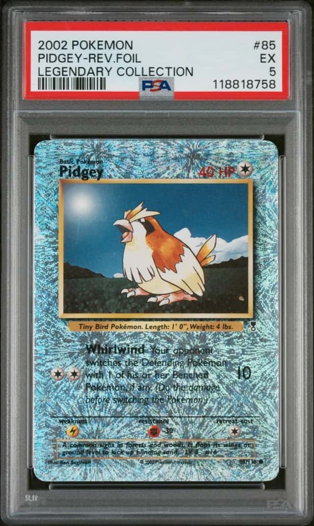 Pidgey