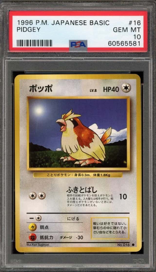 Pidgey