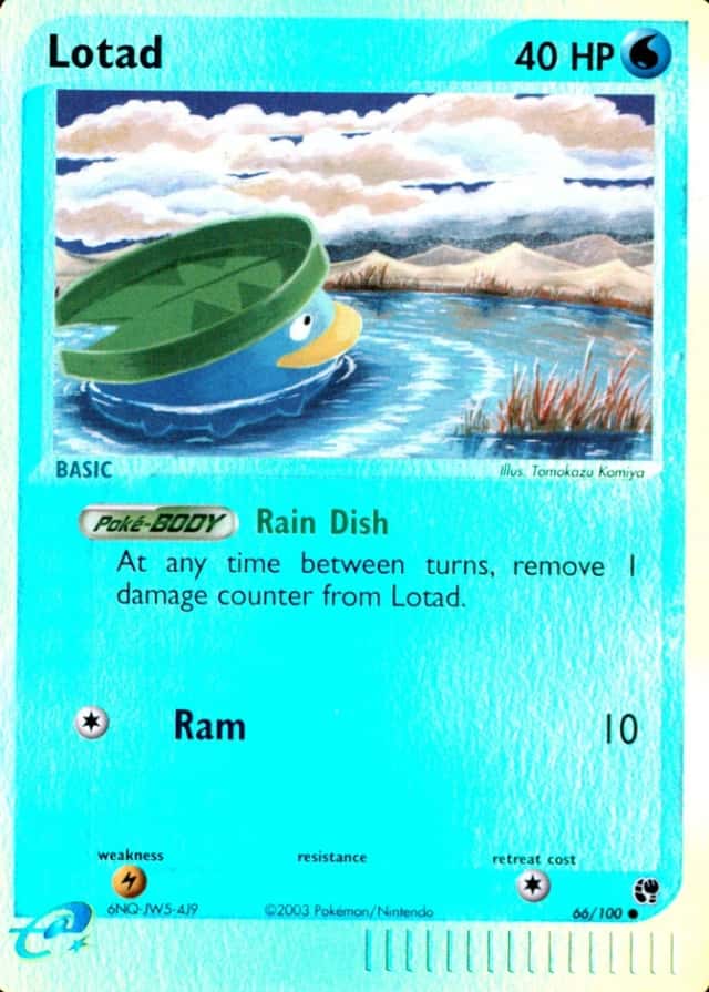 Reverse Holo