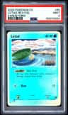 Lotad