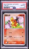 Torchic
